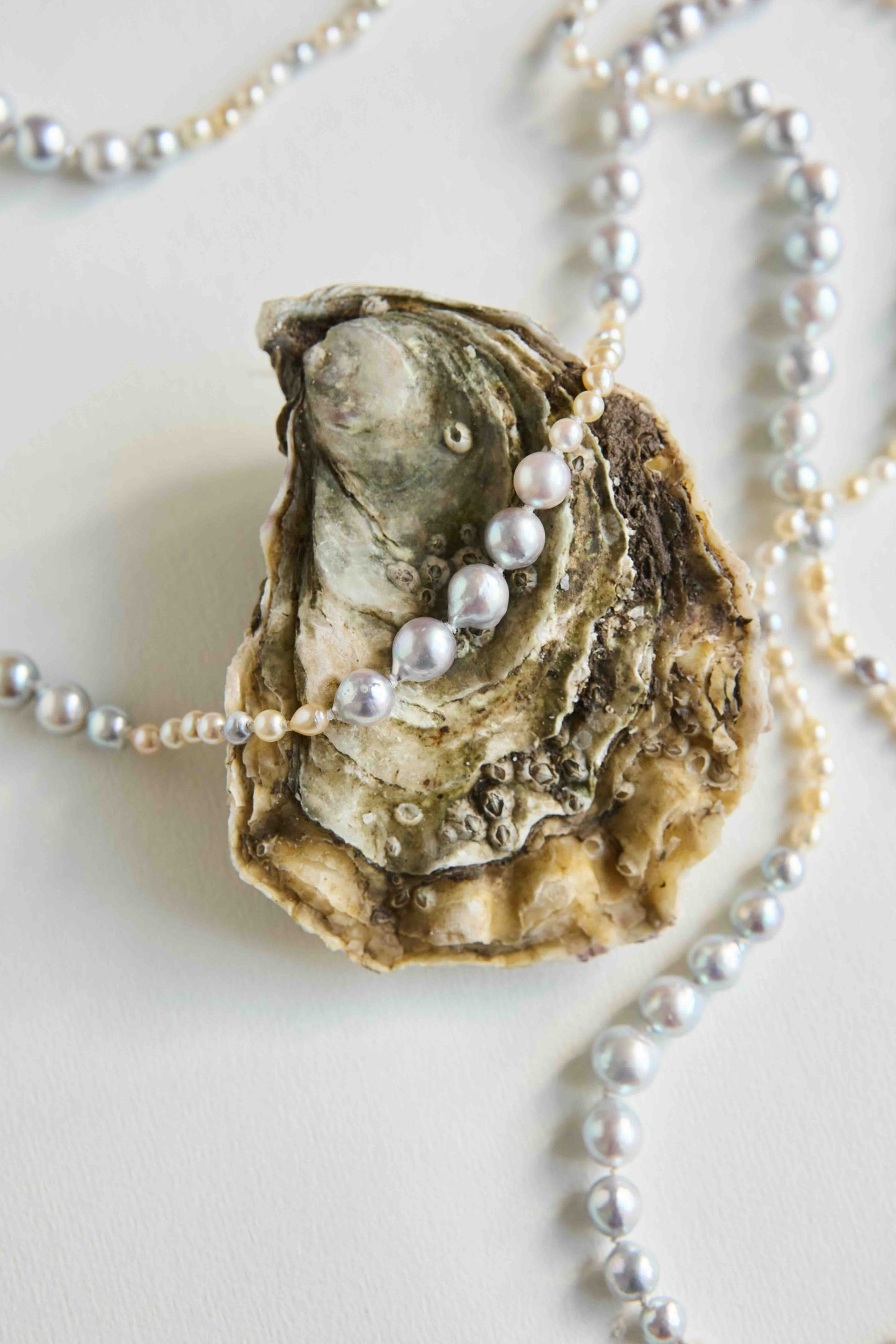 Becca Akoya Pearl Necklace