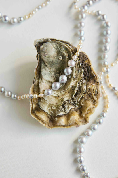 Becca Akoya Pearl Necklace