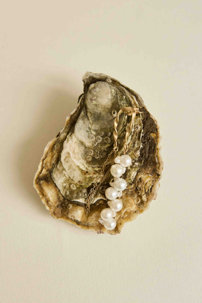 Fairytale Akoya Pearl Stud