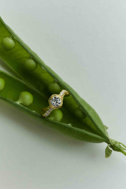Grand Centri Ring