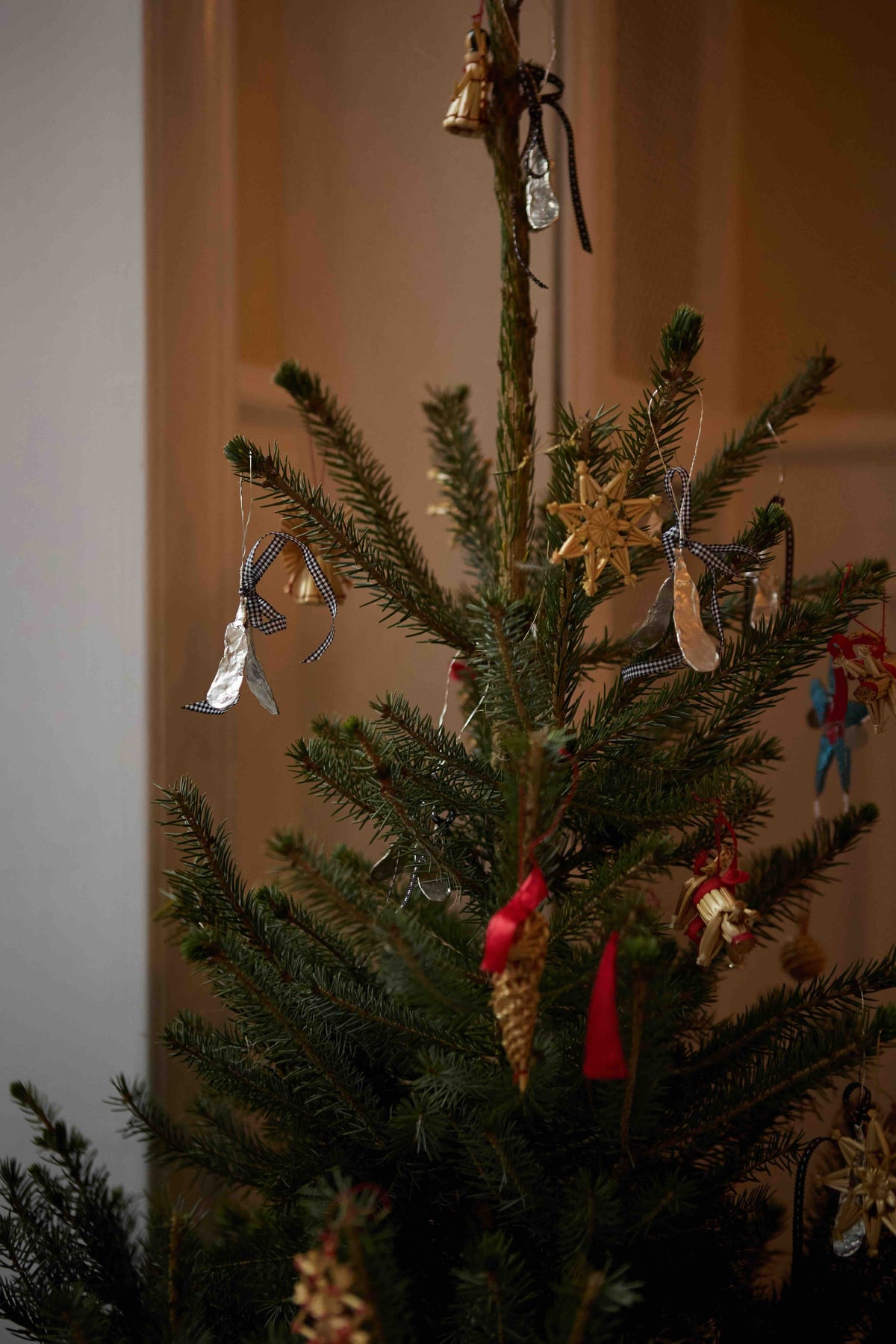 Mistelten 2024